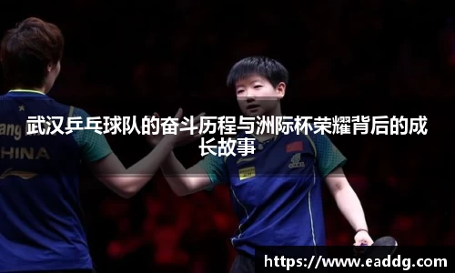 武汉乒乓球队的奋斗历程与洲际杯荣耀背后的成长故事