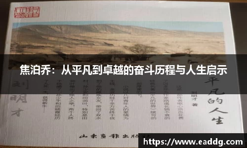 焦泊乔：从平凡到卓越的奋斗历程与人生启示