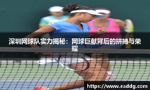 深圳网球队实力揭秘：网球巨献背后的拼搏与荣耀
